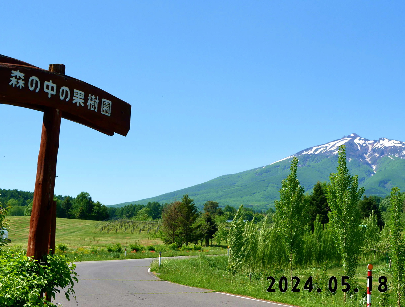 写真　果物狩りの森の中の果樹園