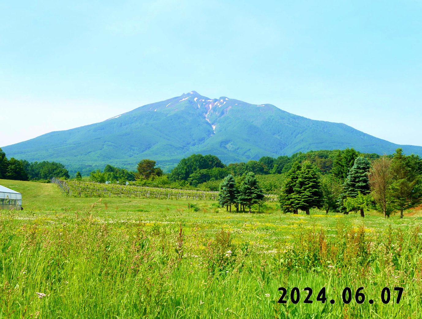 写真　果物狩りの森の中の果樹園