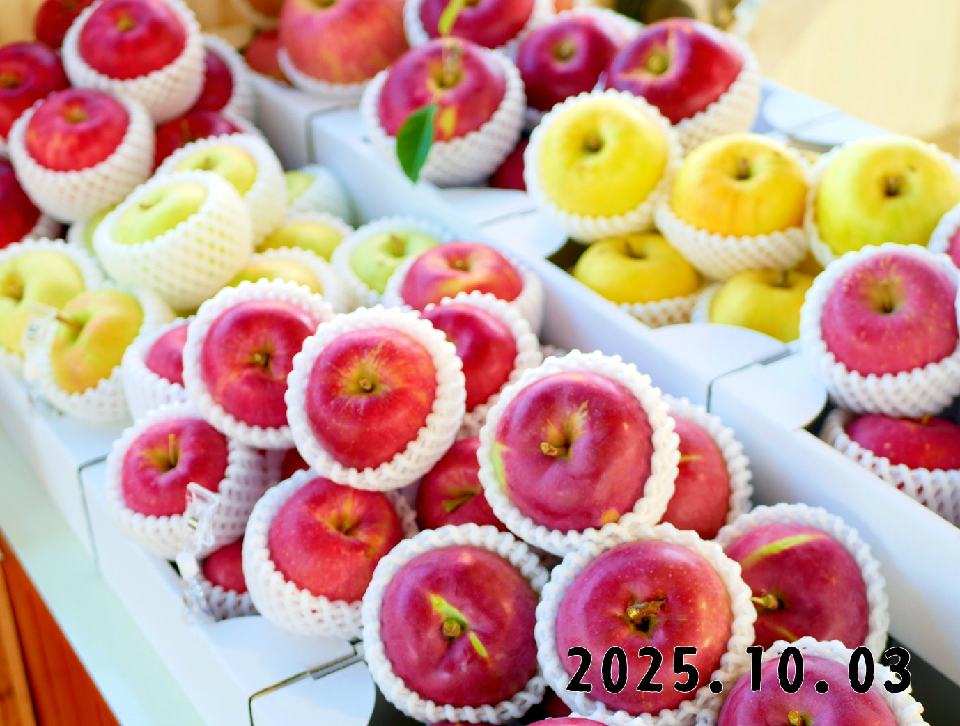 森の中の果樹園のリンゴ