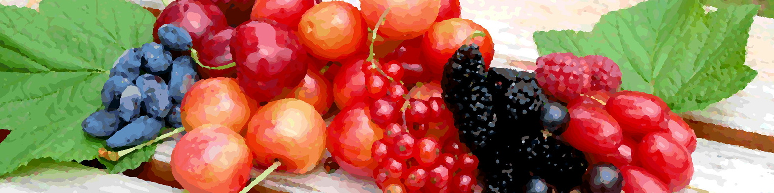 営業時間のご案内　６月