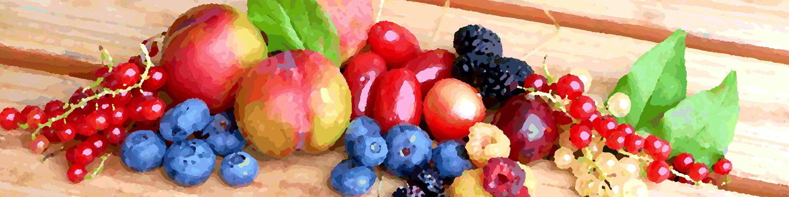 営業時間のご案内　７月