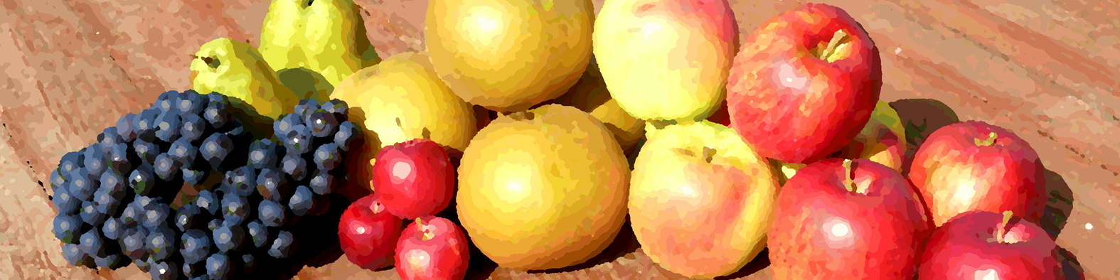 営業時間のご案内　１１月