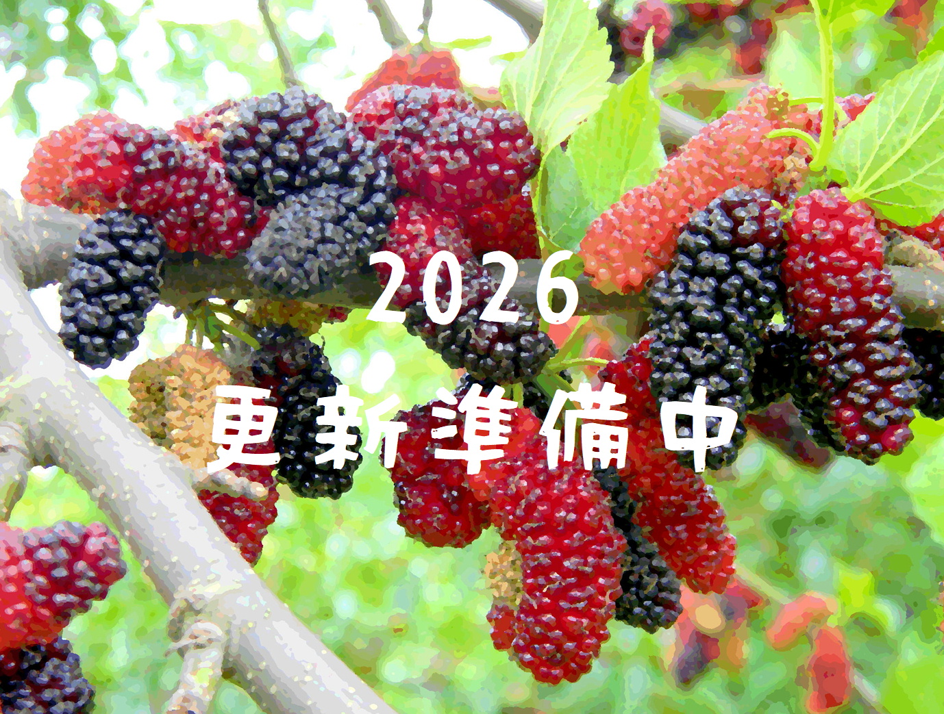 森の中の果樹園の桑の実