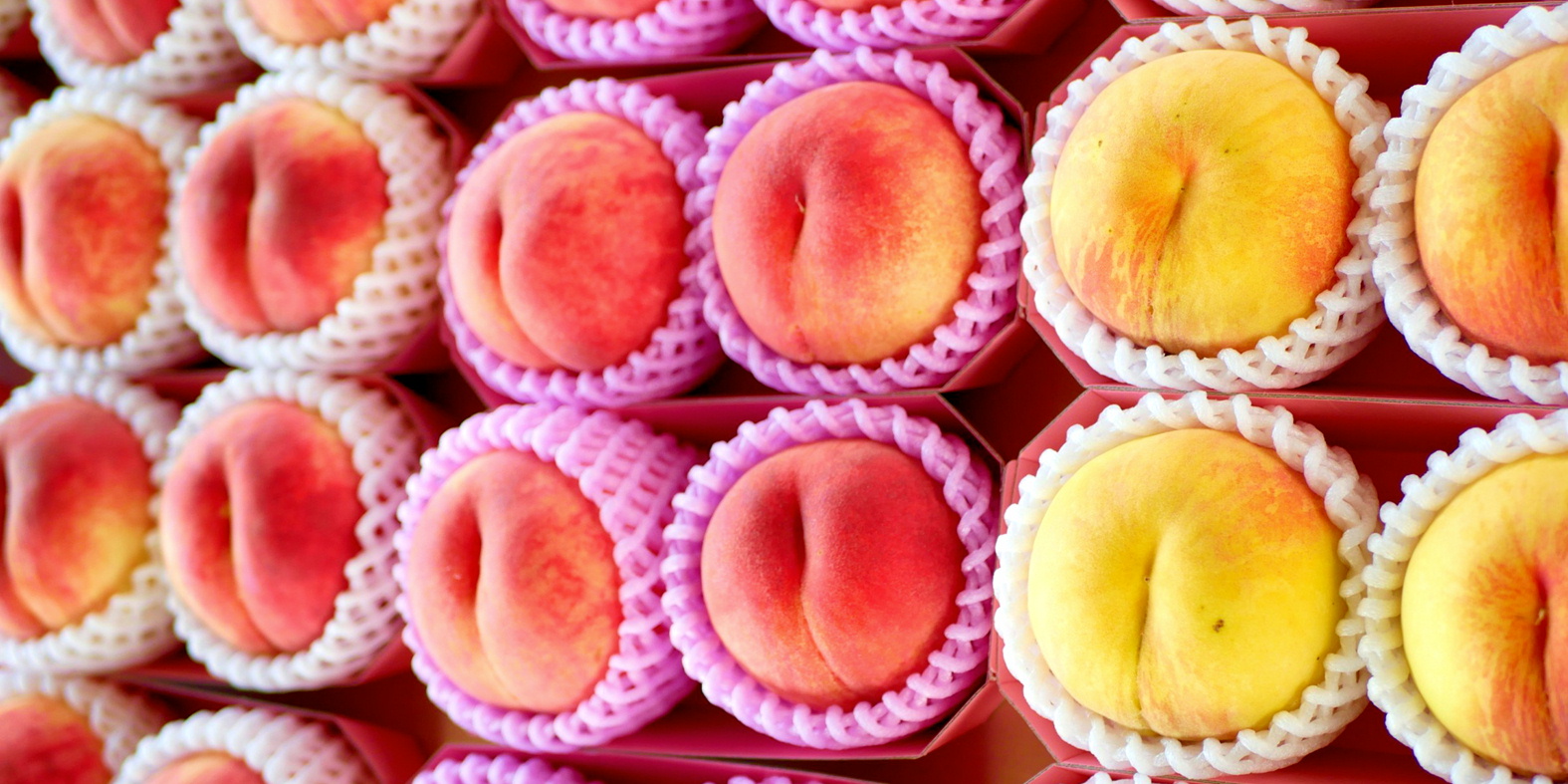 森の中の果樹園のモモ　おいしいモモの選び方