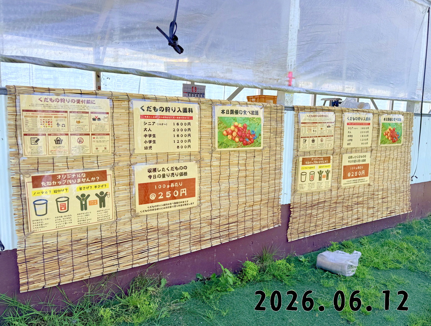 森の中の果樹園のくだもの狩り