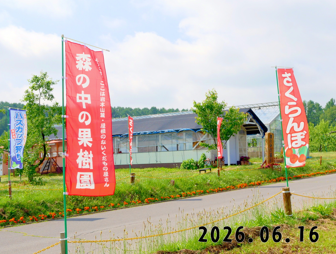 森の中の果樹園のくだもの狩り
