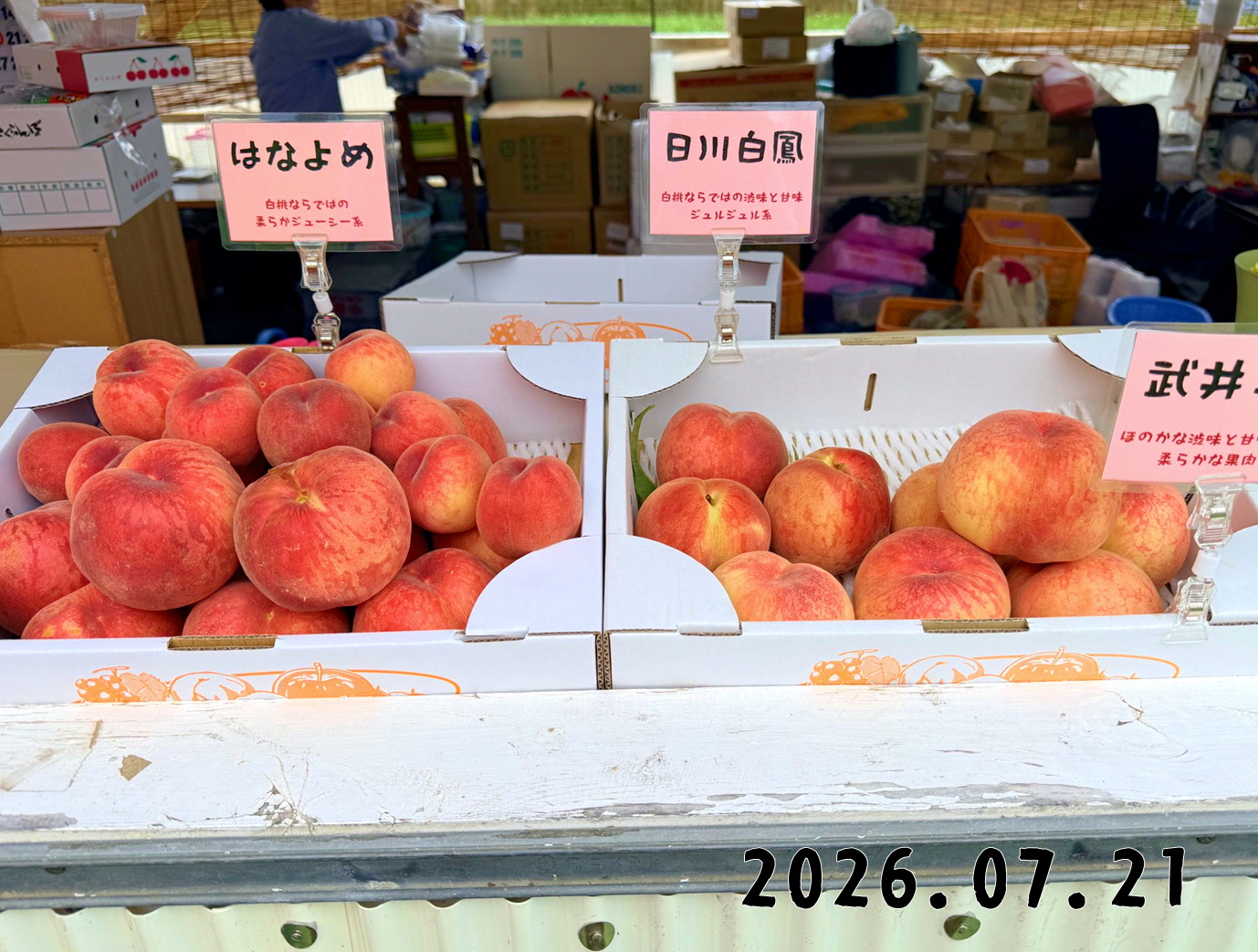森の中の果樹園のモモ