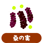 桑の実
