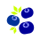 ブルーベリー