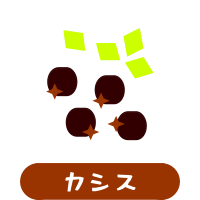 森の中の果樹園のカシス