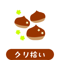 森の中の果樹園のクリ拾い体験