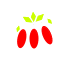グミ