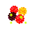 ラズベリー