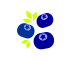 ブルーベリー