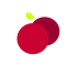 プラム