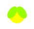 マルメロ