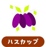 森の中の果樹園のハスカップ