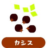 森の中の果樹園のカシス