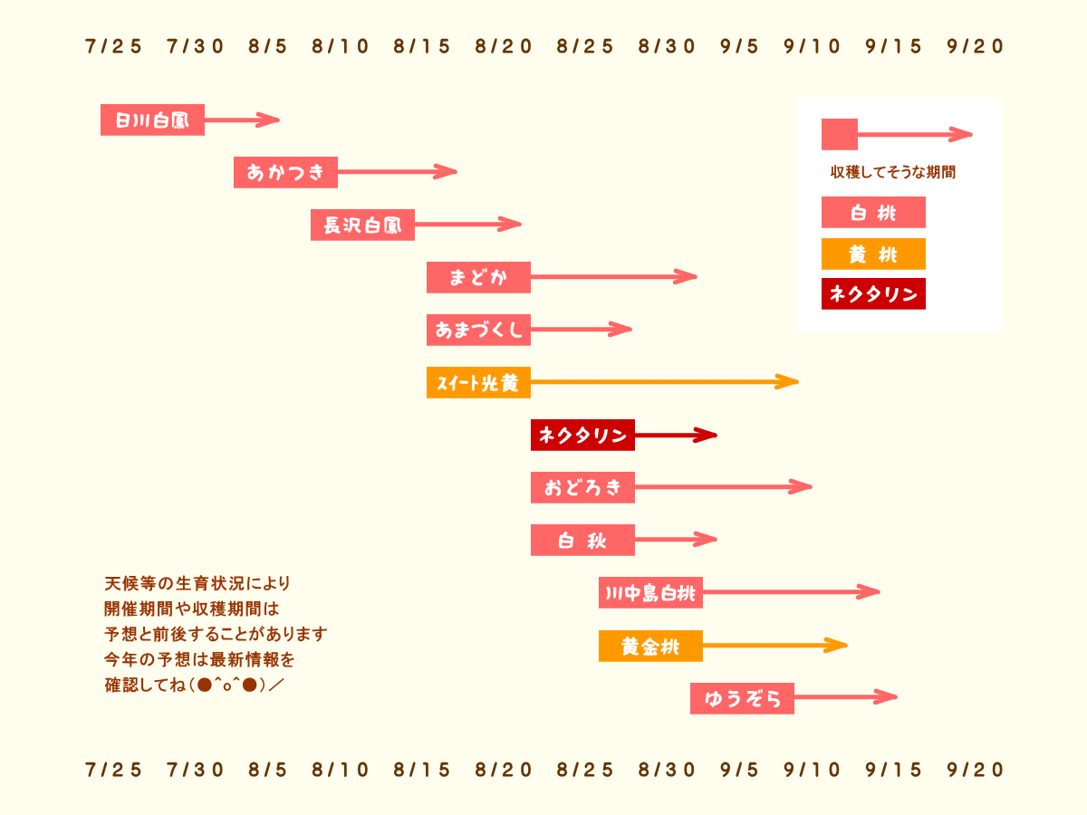 森の中の果樹園のモモ　収穫予想