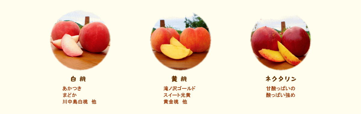 森の中の果樹園のモモ　品種紹介