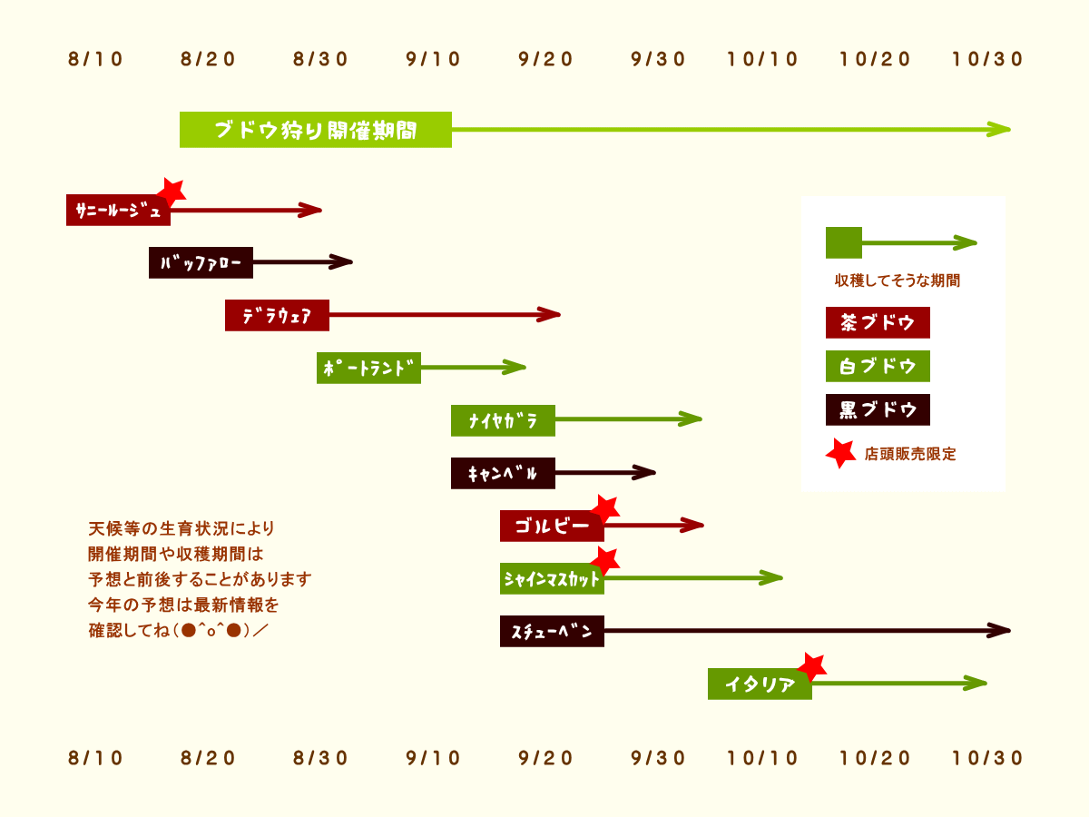 森の中の果樹園のブドウ　収穫予想