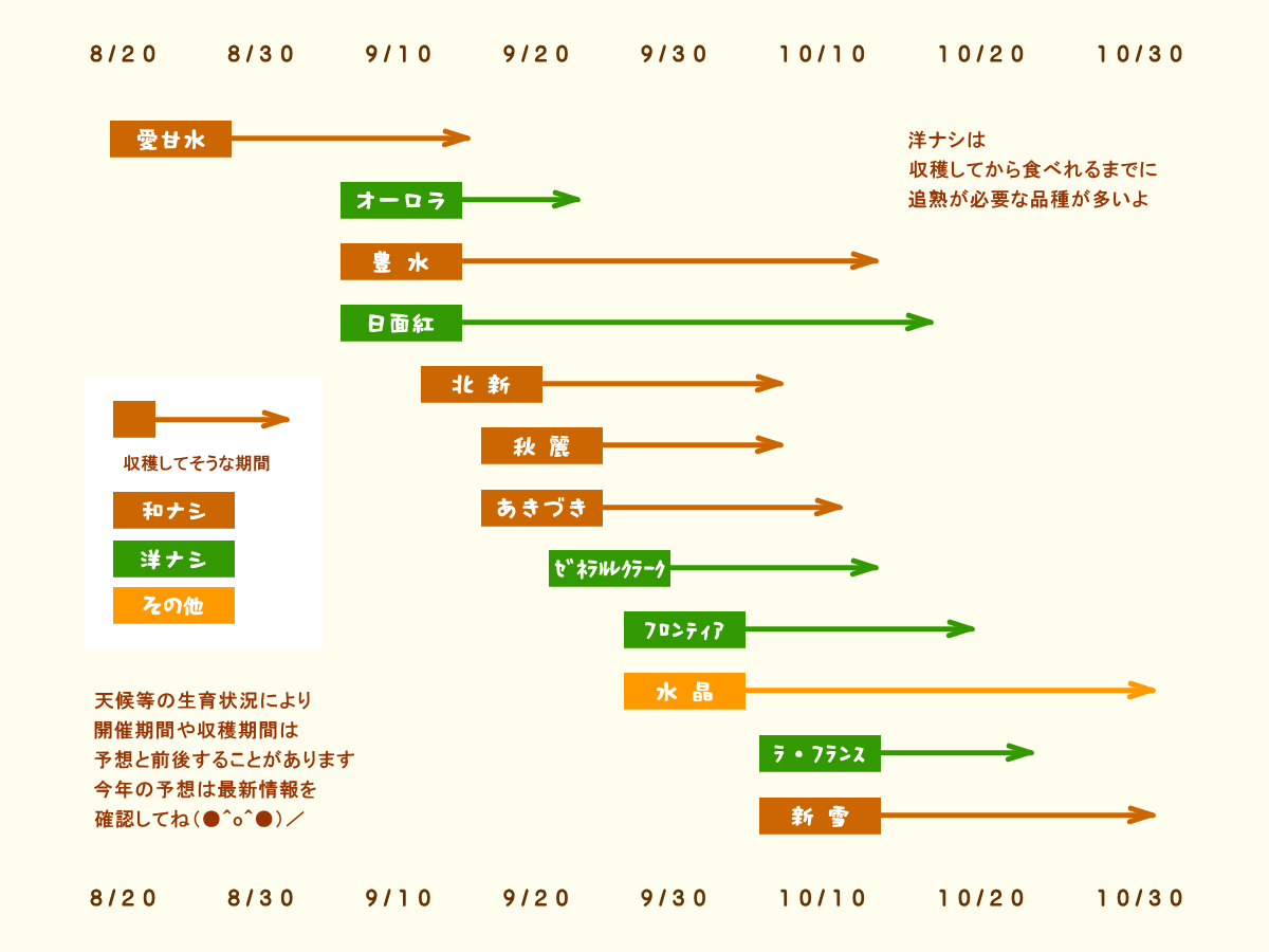 森の中の果樹園のナシ 収穫予想