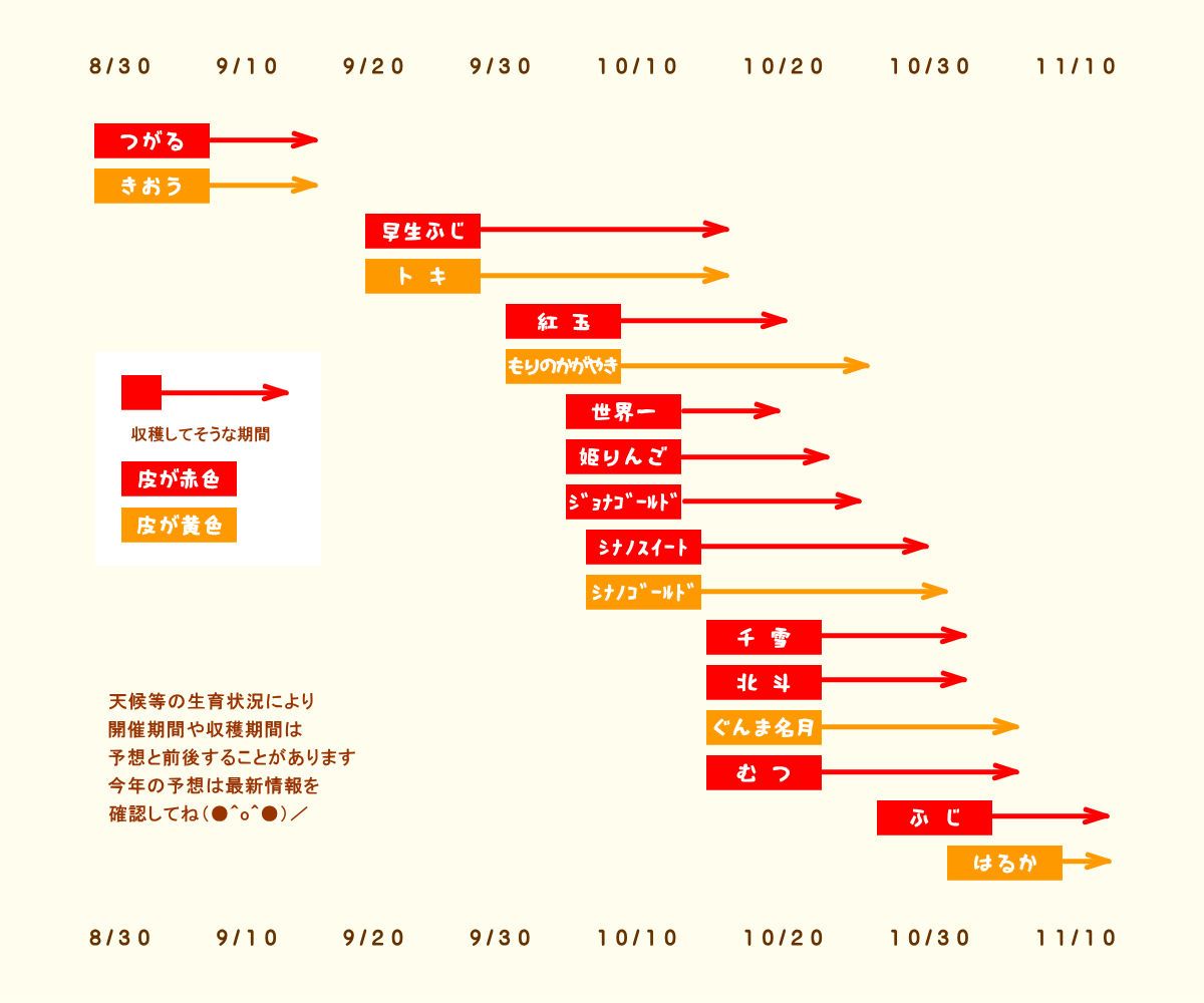 森の中の果樹園のリンゴ 収穫予想