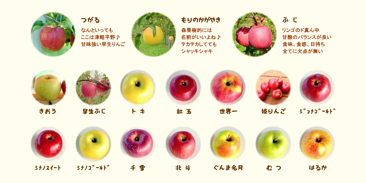 森の中の果樹園のリンゴ 品種紹介