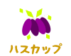 ハスカップ