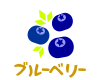 ブルーベリー