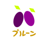 プルーン