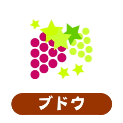 ブドウ