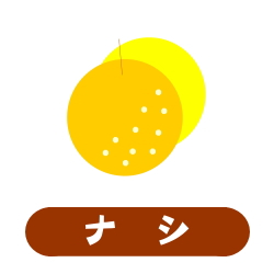 ナシ