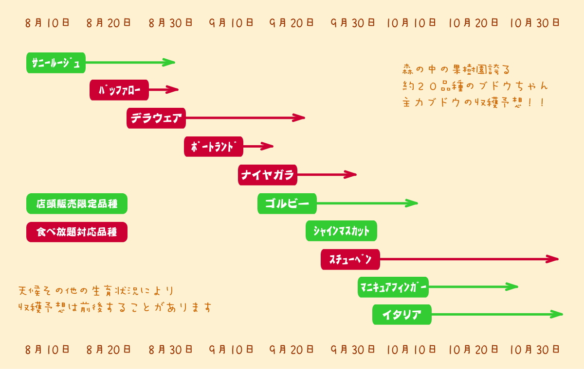 森の中の果樹園のブドウ　品種紹介