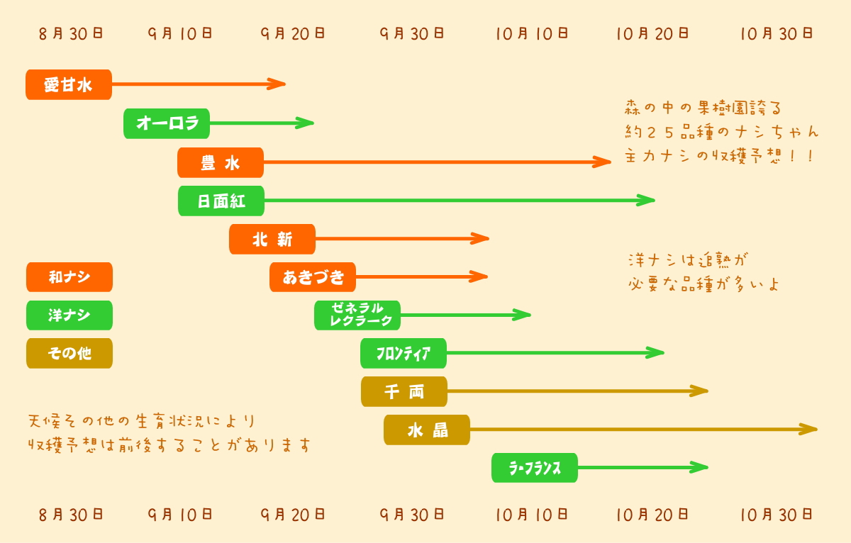 森の中の果樹園のナシ　品種紹介